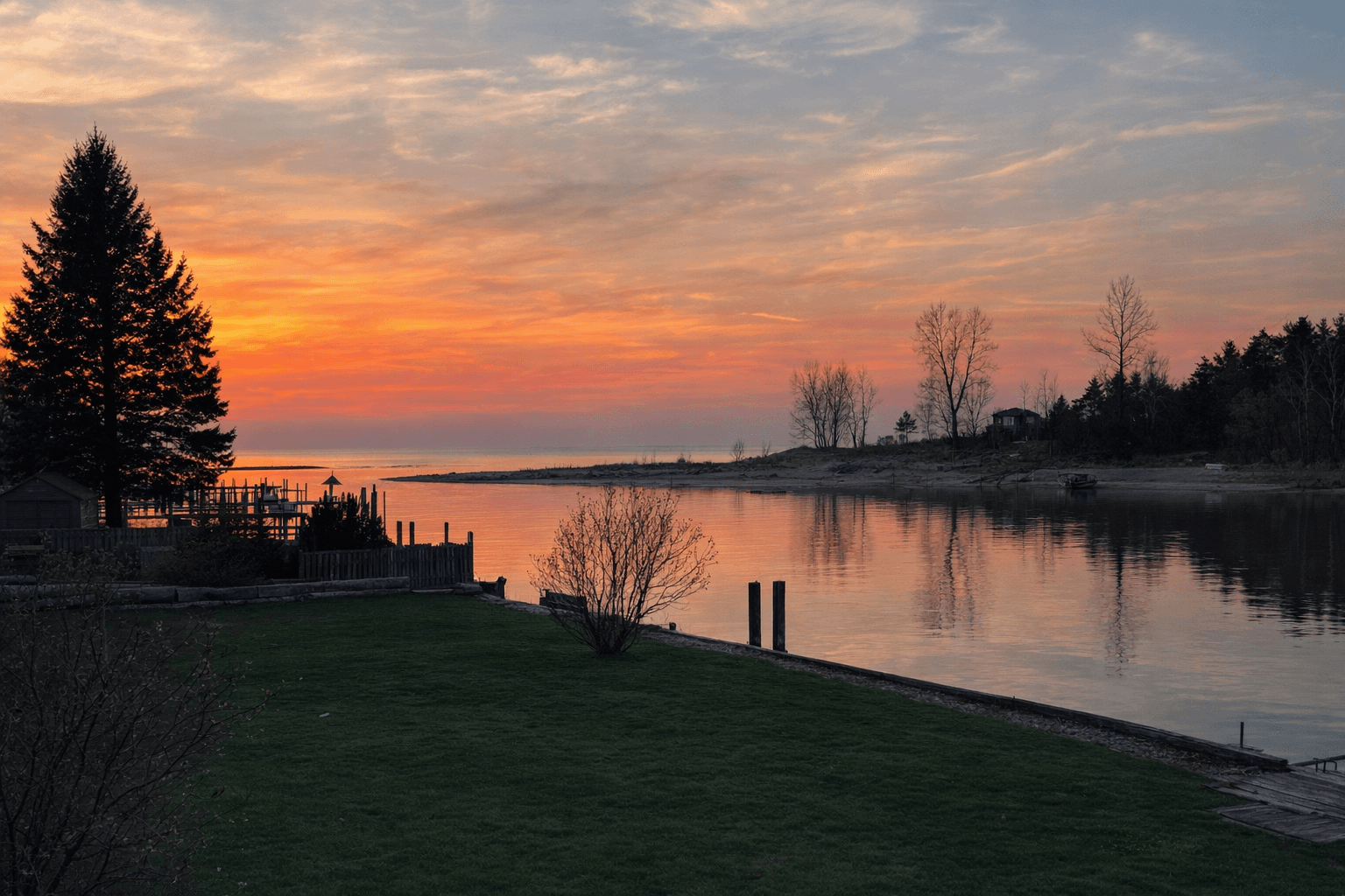 Vibrant orange sunset over a calm lake with a tall evergreen tree and grassy lawn.